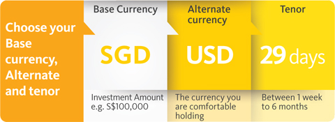 Dual Currency Investment